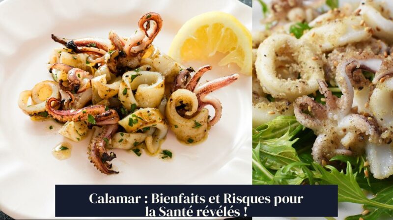 Calamar : Bienfaits et Risques pour la Santé révélés !