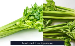 Le céleri est-il une légumineuse