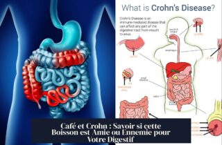 Café et Crohn : Savoir si cette Boisson est Amie ou Ennemie pour Votre Digestif