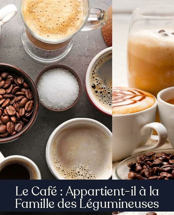 Le Café : Appartient-il à la Famille des Légumineuses