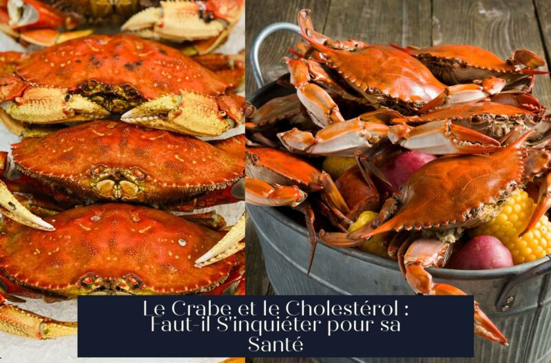 Le Crabe et le Cholestérol : Faut-il S'inquiéter pour sa Santé