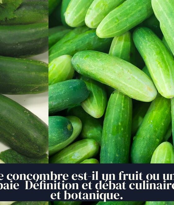 Le concombre est-il un fruit ou une baie Définition et débat culinaire et botanique.