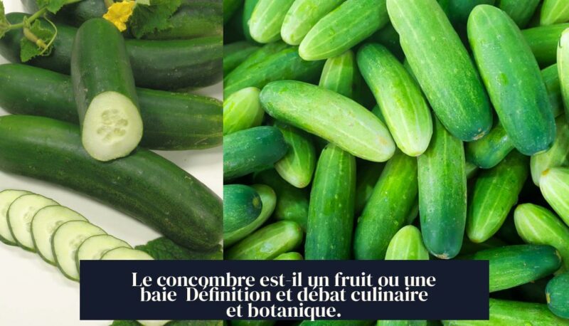 Le concombre est-il un fruit ou une baie Définition et débat culinaire et botanique.