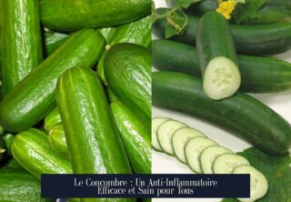 Le Concombre : Un Anti-Inflammatoire Efficace et Sain pour Tous
