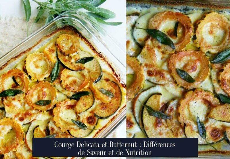 Courge Delicata et Butternut : Différences de Saveur et de Nutrition