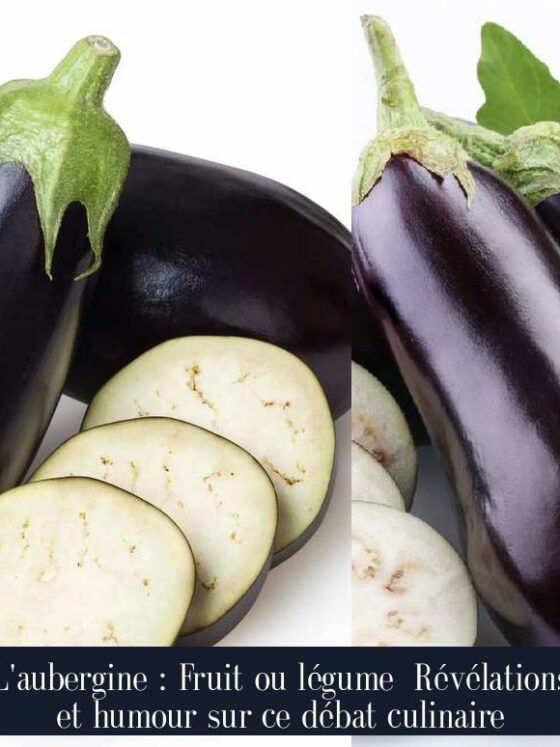 L'aubergine : Fruit ou légume Révélations et humour sur ce débat culinaire