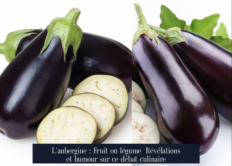 L'aubergine : Fruit ou légume Révélations et humour sur ce débat culinaire
