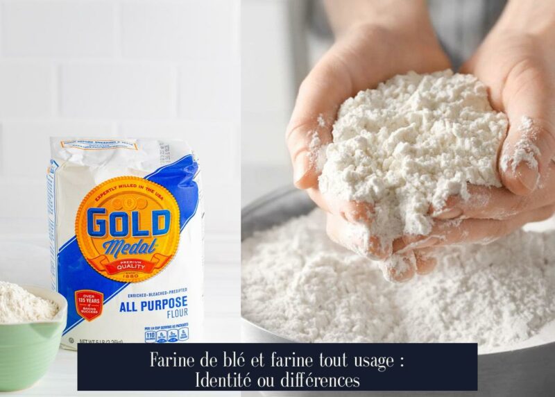 Farine de blé et farine tout usage : Identité ou différences