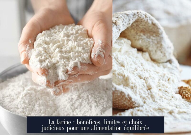 La farine : bénéfices, limites et choix judicieux pour une alimentation équilibrée