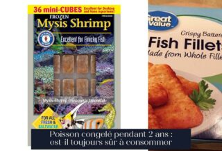 Poisson congelé pendant 2 ans : est-il toujours sûr à consommer