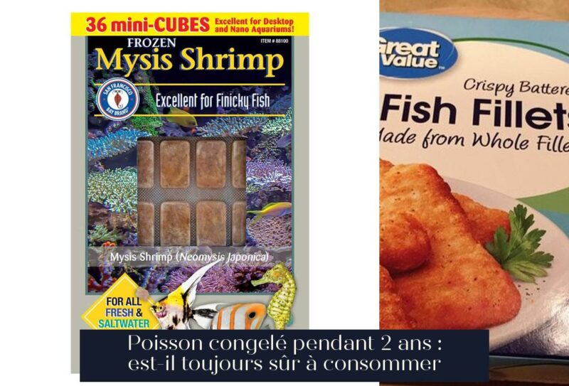 Poisson congelé pendant 2 ans : est-il toujours sûr à consommer