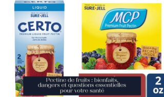 Pectine de fruits : bienfaits, dangers et questions essentielles pour votre santé
