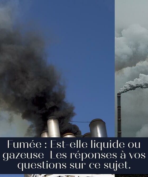 Fumée : Est-elle liquide ou gazeuse Les réponses à vos questions sur ce sujet.