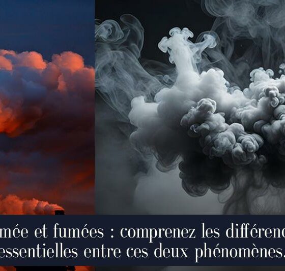 Fumée et fumées : comprenez les différences essentielles entre ces deux phénomènes.