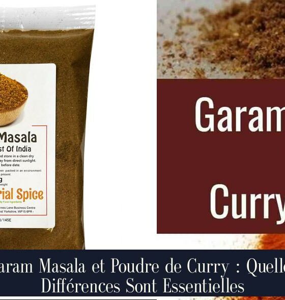 Garam Masala et Poudre de Curry : Quelles Différences Sont Essentielles