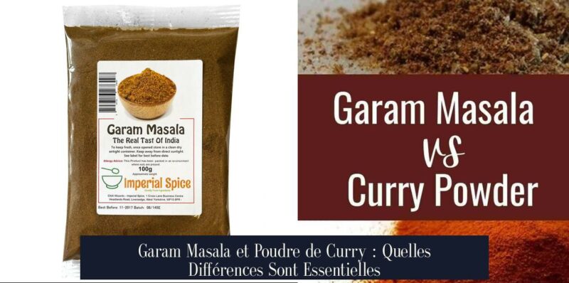 Garam Masala et Poudre de Curry : Quelles Différences Sont Essentielles