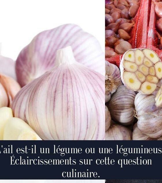 L'ail est-il un légume ou une légumineuse Éclaircissements sur cette question culinaire.