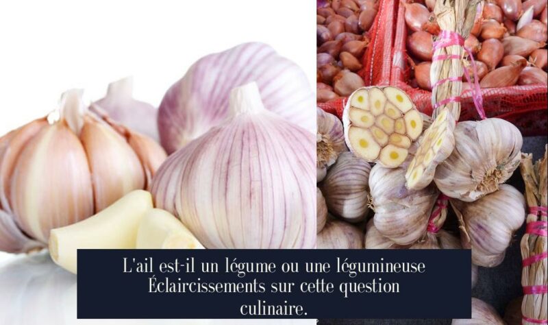 L'ail est-il un légume ou une légumineuse Éclaircissements sur cette question culinaire.