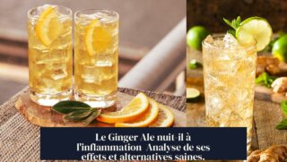 Le Ginger Ale nuit-il à l'inflammation Analyse de ses effets et alternatives saines.