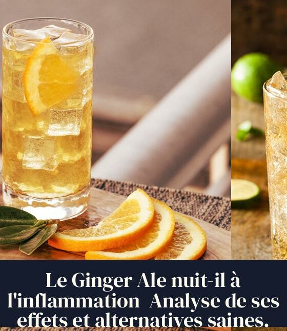 Le Ginger Ale nuit-il à l'inflammation Analyse de ses effets et alternatives saines.