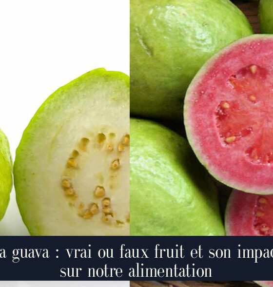 La guava : vrai ou faux fruit et son impact sur notre alimentation