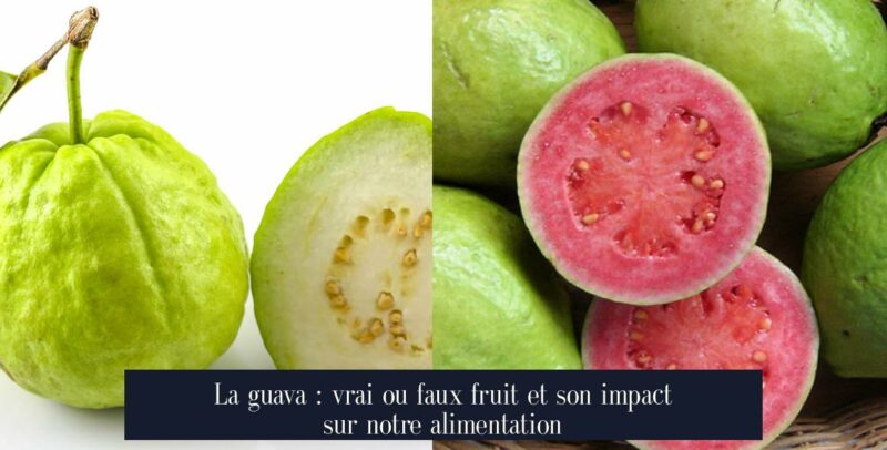 La guava : vrai ou faux fruit et son impact sur notre alimentation