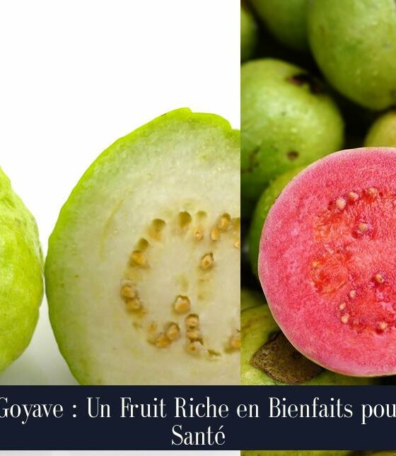 La Goyave : Un Fruit Riche en Bienfaits pour la Santé