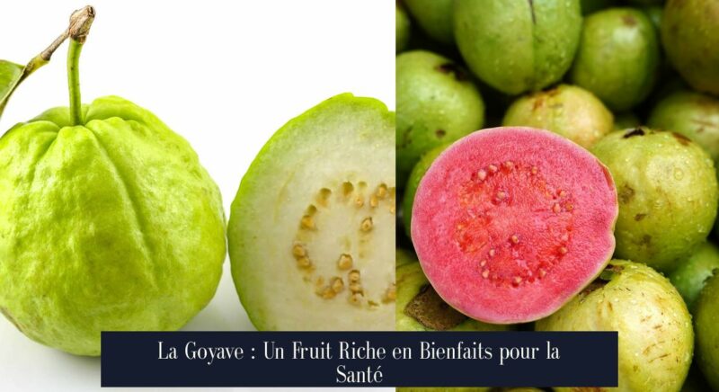 La Goyave : Un Fruit Riche en Bienfaits pour la Santé
