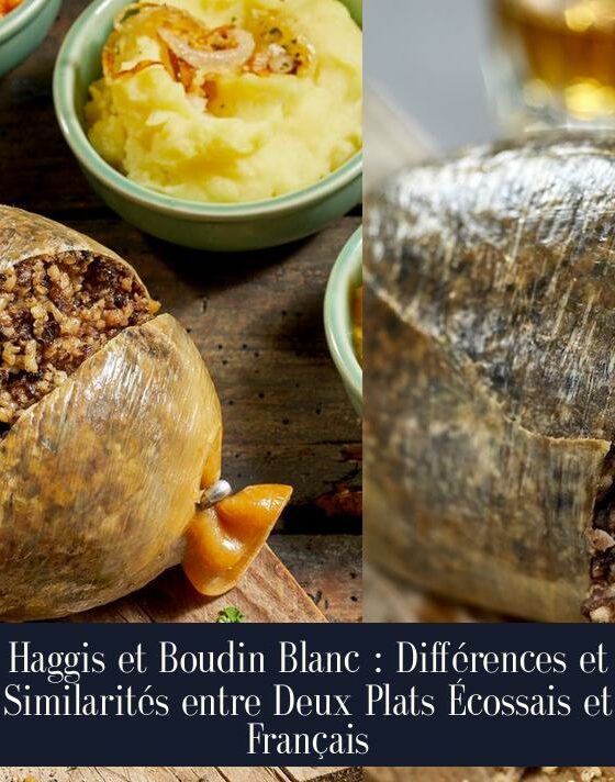 Haggis et Boudin Blanc : Différences et Similarités entre Deux Plats Écossais et Français