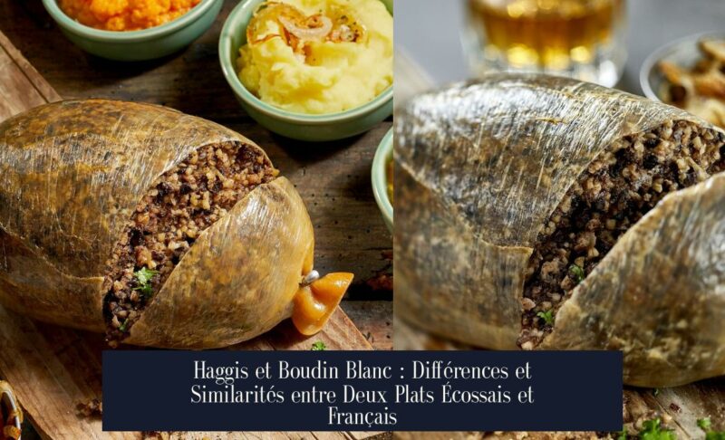 Haggis et Boudin Blanc : Différences et Similarités entre Deux Plats Écossais et Français