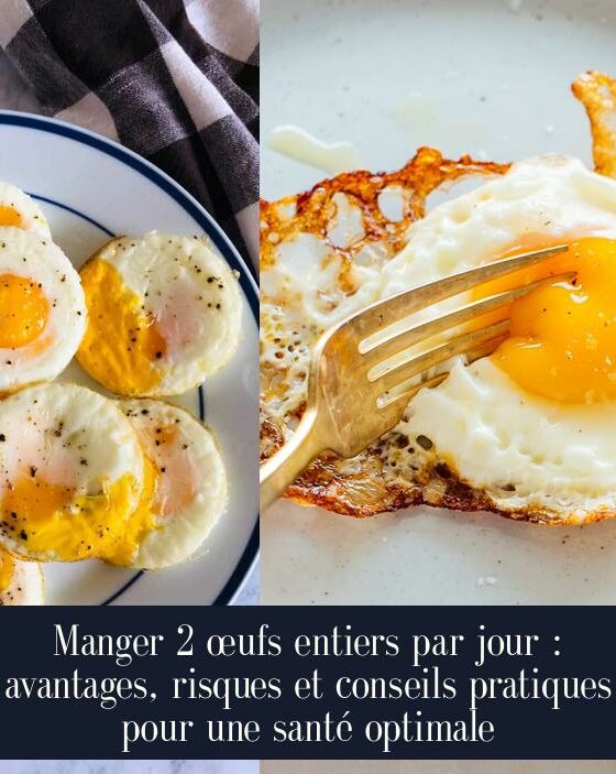 Manger 2 œufs entiers par jour : avantages, risques et conseils pratiques pour une santé optimale