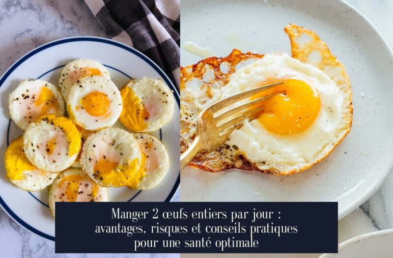 Manger 2 œufs entiers par jour : avantages, risques et conseils pratiques pour une santé optimale