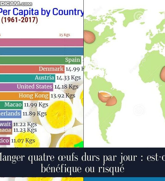 Manger quatre œufs durs par jour : est-ce bénéfique ou risqué