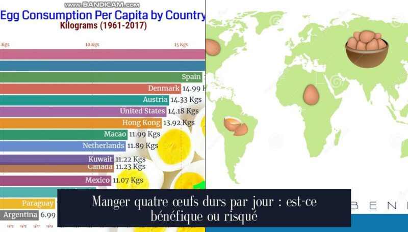 Manger quatre œufs durs par jour : est-ce bénéfique ou risqué