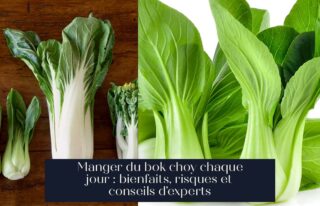 Manger du bok choy chaque jour : bienfaits, risques et conseils d'experts