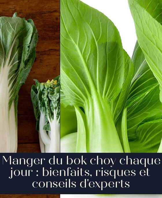 Manger du bok choy chaque jour : bienfaits, risques et conseils d'experts