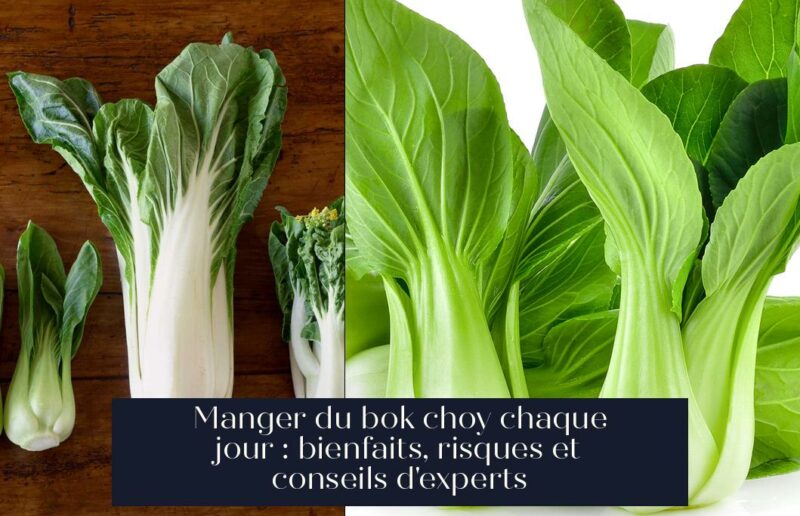 Manger du bok choy chaque jour : bienfaits, risques et conseils d'experts