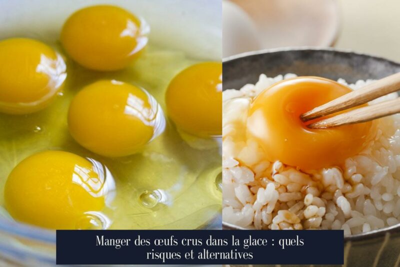 Manger des œufs crus dans la glace : quels risques et alternatives