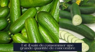 Est-il sain de consommer une grande quantité de concombre