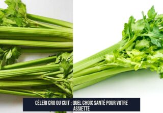 Céleri cru ou cuit : quel choix santé pour votre assiette