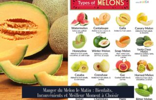 Manger du Melon le Matin : Bienfaits, Inconvénients et Meilleur Moment à Choisir