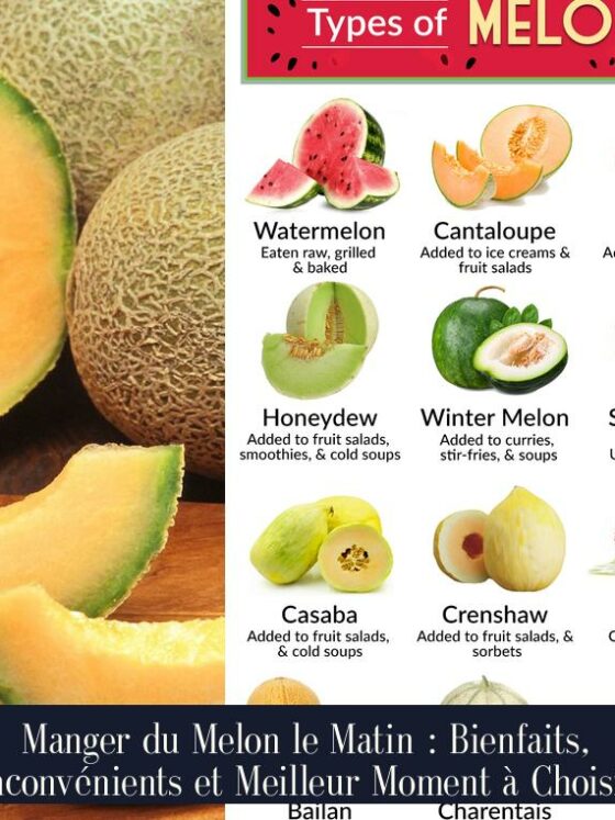 Manger du Melon le Matin : Bienfaits, Inconvénients et Meilleur Moment à Choisir
