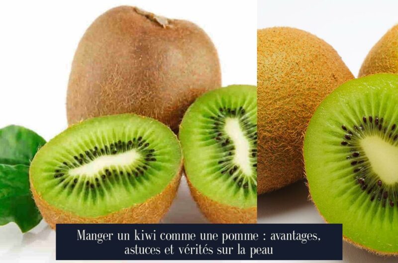 Manger un kiwi comme une pomme : avantages, astuces et vérités sur la peau