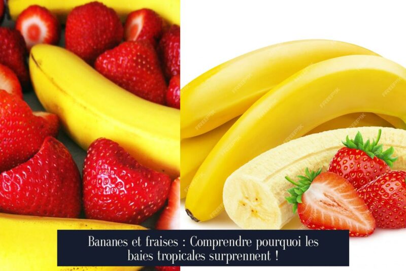 Bananes et fraises : Comprendre pourquoi les baies tropicales surprennent !