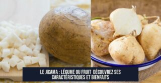 Le Jicama : Légume ou Fruit Découvrez Ses Caractéristiques et Bienfaits