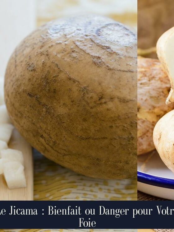 Le Jicama : Bienfait ou Danger pour Votre Foie