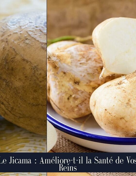 Le Jicama : Améliore-t-il la Santé de Vos Reins