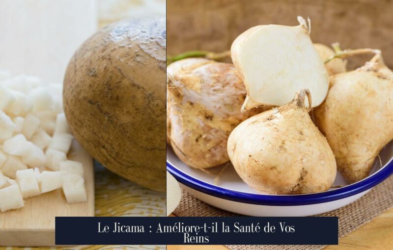 Le Jicama : Améliore-t-il la Santé de Vos Reins