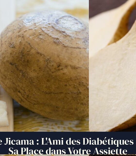 Le Jicama : L'Ami des Diabétiques et Sa Place dans Votre Assiette