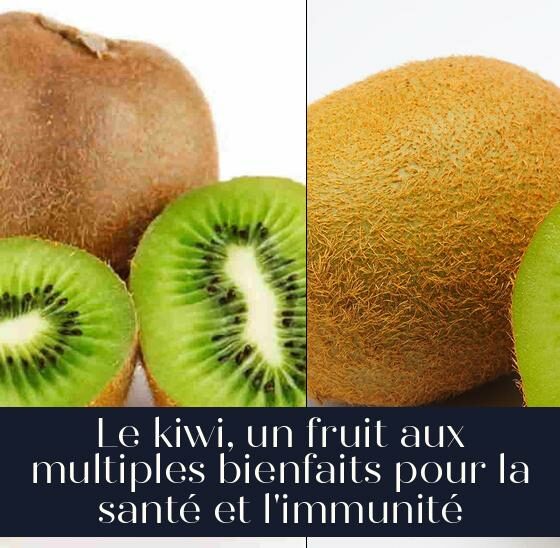 Le kiwi, un fruit aux multiples bienfaits pour la santé et l'immunité